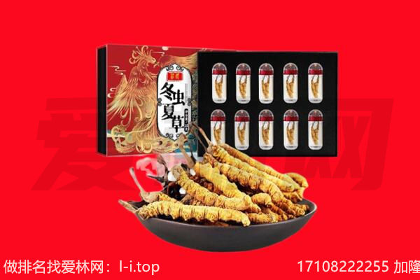 宿州回收虫草.jpg